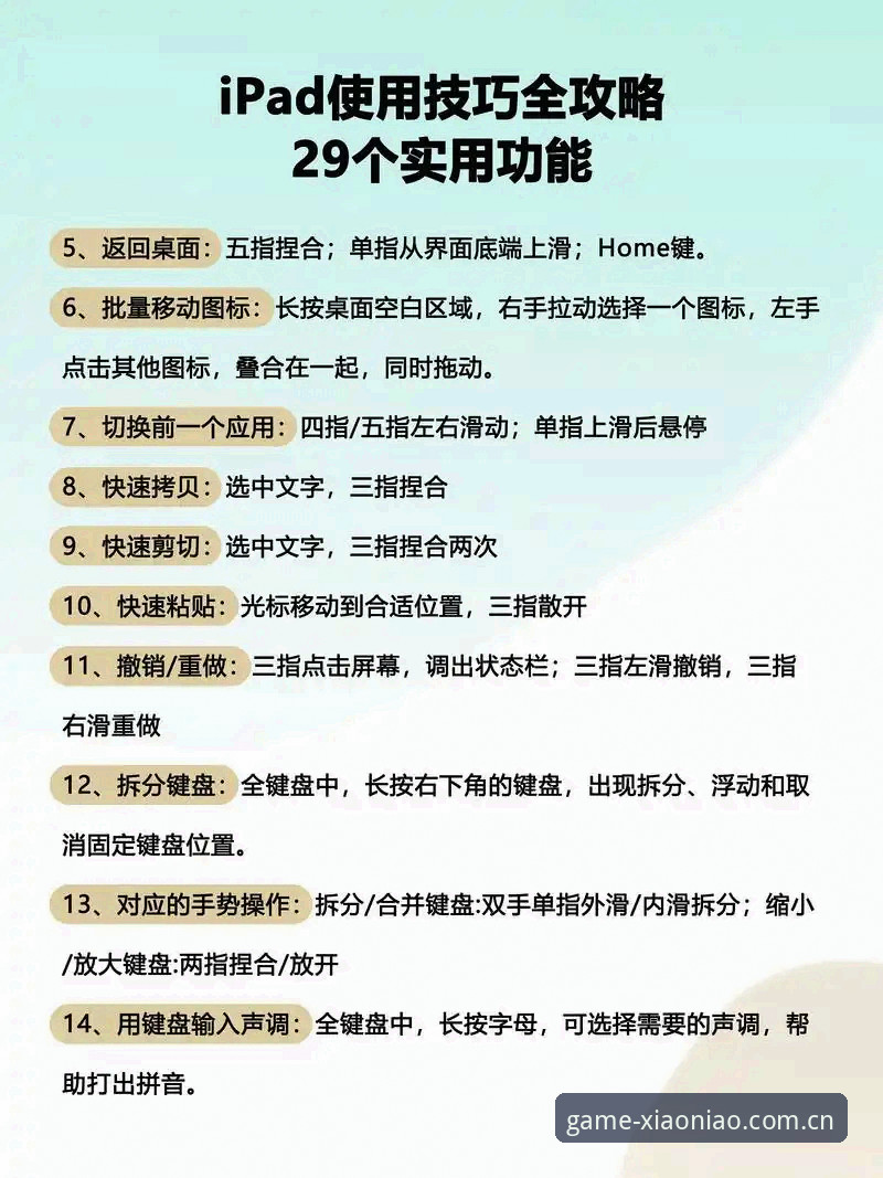 小鸟体育平台使用指南：从下载到实战的完整操作手册